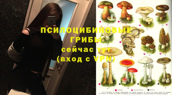 гидра Абинск