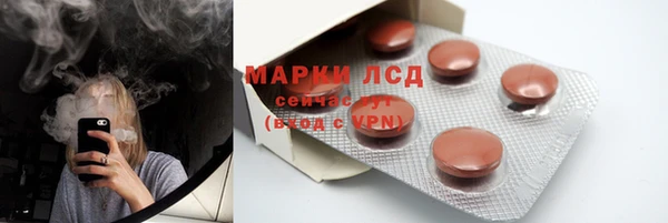 индика Нефтекумск