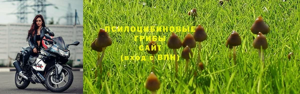 mdpv Нефтегорск