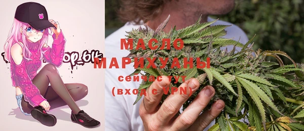индика Нефтекумск