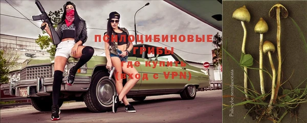 гашиш Абаза