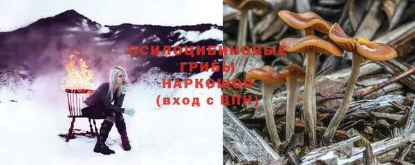 гидра Абинск