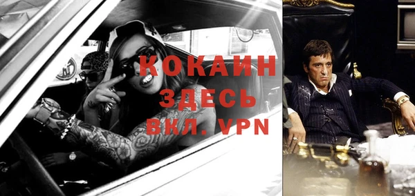 винт Алзамай