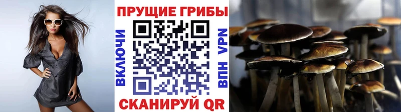 Галлюциногенные грибы Magic Shrooms  Правдинск 