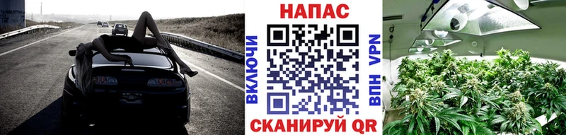 где купить наркоту  Правдинск  МАРИХУАНА VHQ 